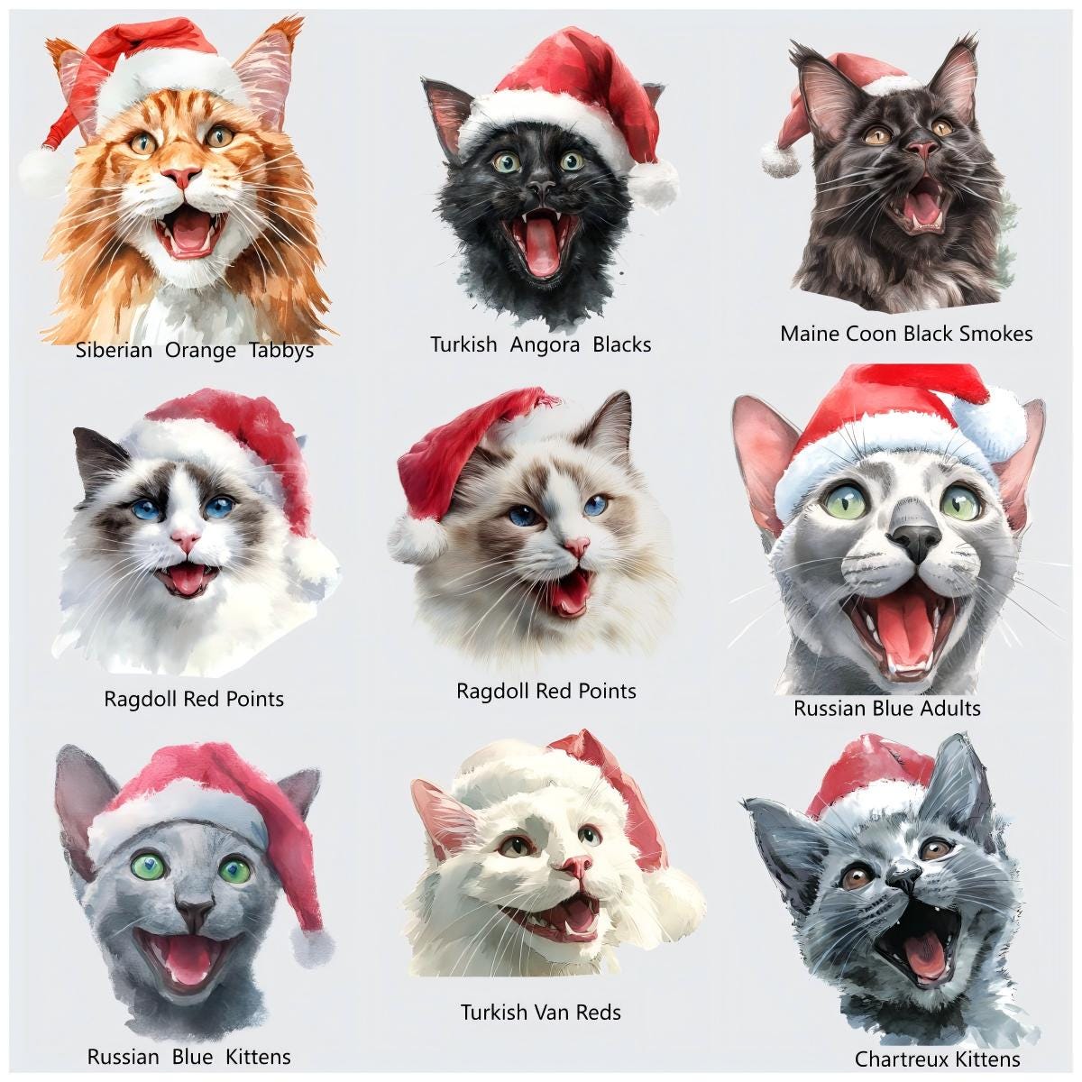 Watercolor Christmas Cats PNG | Festive Santa Hats (Digital Download)
