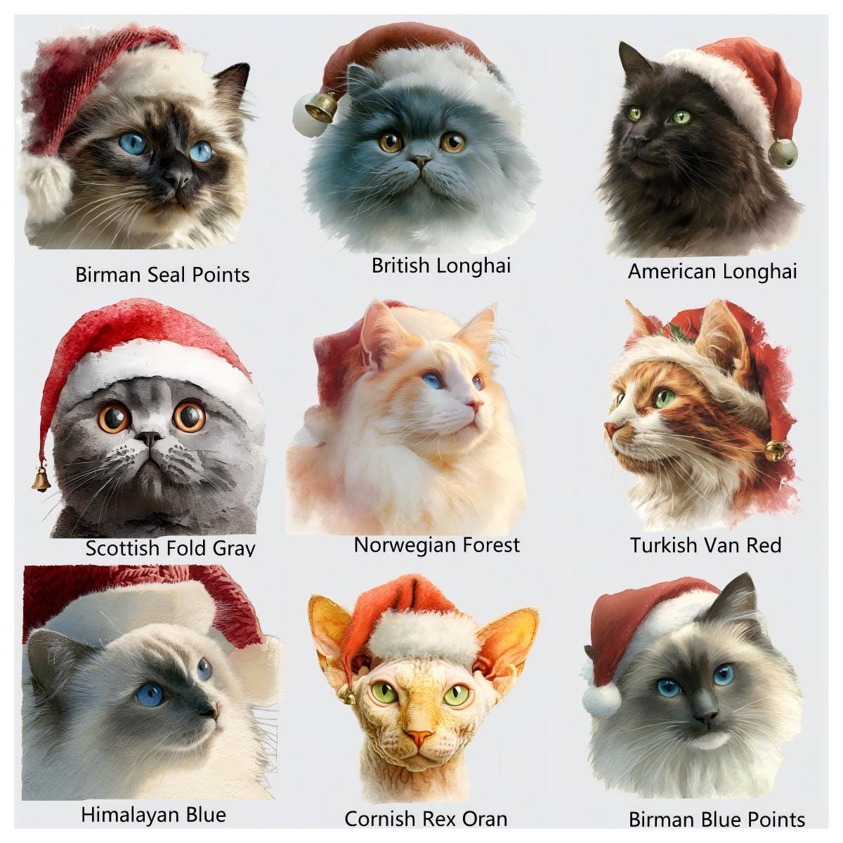 Watercolor Christmas Cats PNG: 100 Festive Cat Breeds (Digital Download)